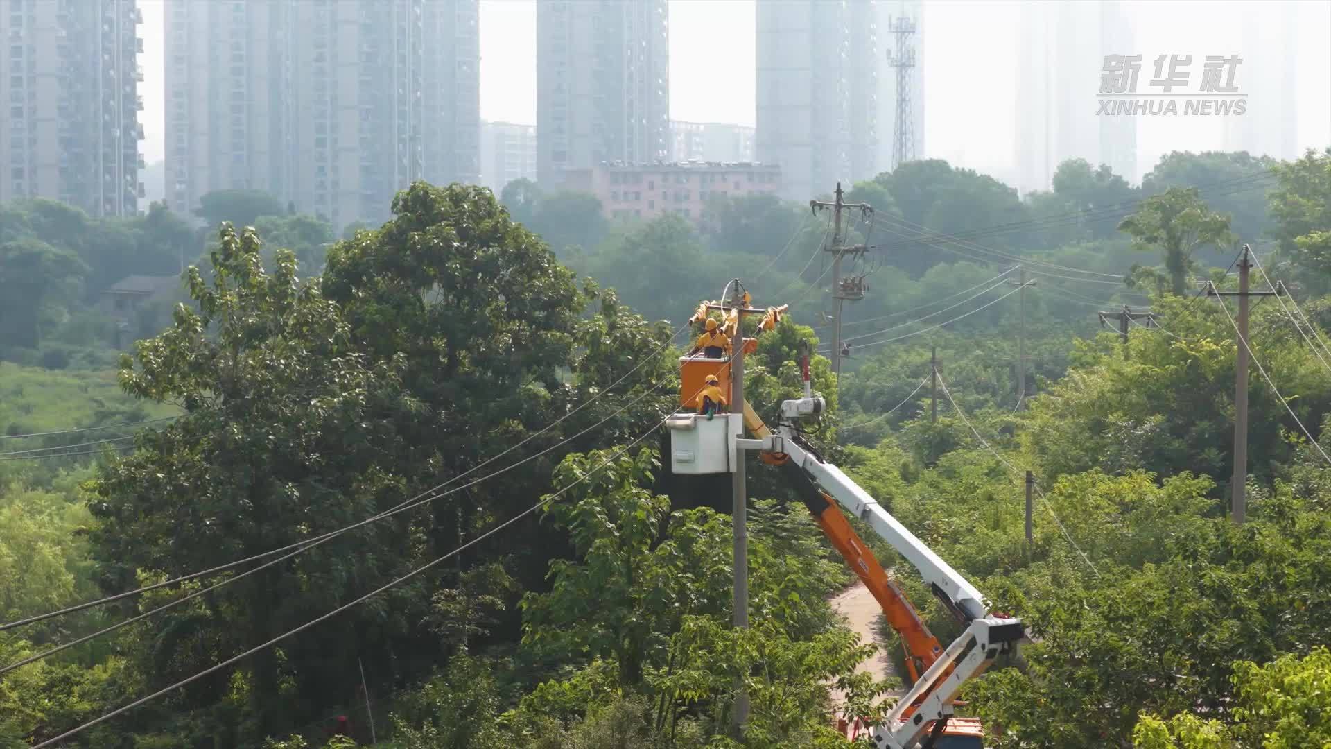 烈日下的“守电人”