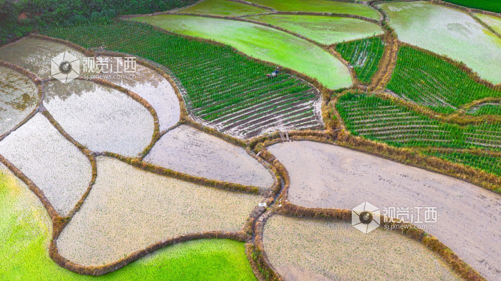 2025年7月15日在江西省吉安市峡江县覆箱峰拍摄的画面。