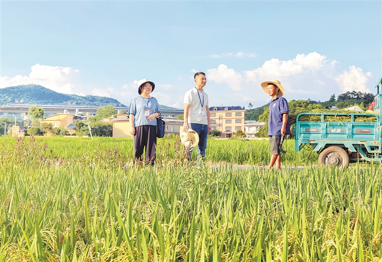 江西省萍乡市安源区纪委监委在乡镇财政资金监督检查中,从高标准农田建设、耕地补贴等小切口入手,深挖彻查群众身边的不正之风和腐败问题。图为近日,该区纪委监委工作人员在高坑镇裴家村了解有关情况。 邓建萍 摄