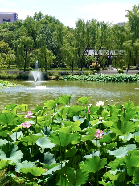 节气里的大美西安 | 今日大暑 酷热下的生活乐章