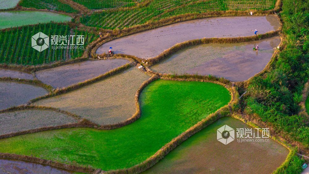 2025年7月15日在江西省吉安市峡江县覆箱峰拍摄的画面。