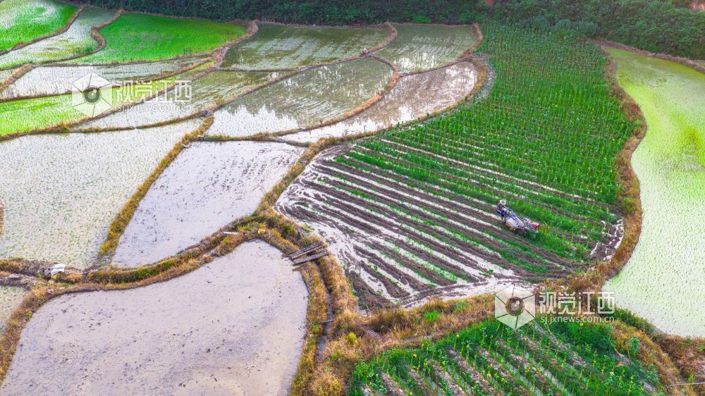 2025年7月15日在江西省吉安市峡江县覆箱峰拍摄的画面。