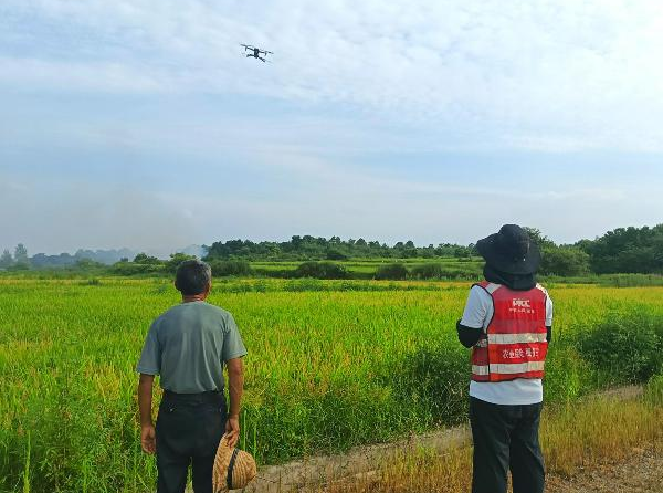 人保财险“保险+科技+服务”融合创新服务三农保丰收