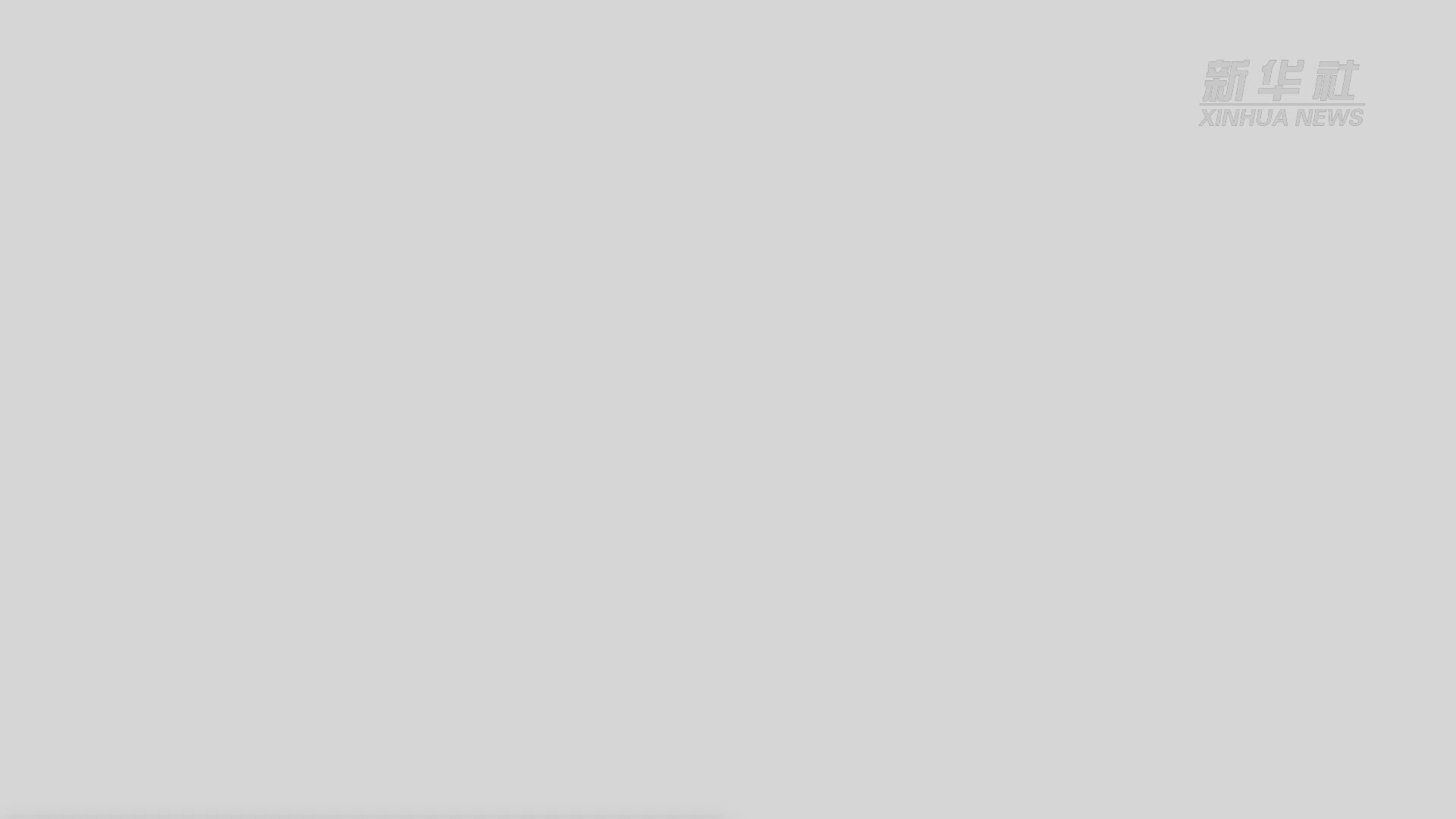 经济政策一线微观察｜一杯啤酒连起四海宾朋——青岛国际啤酒节释放消费活力