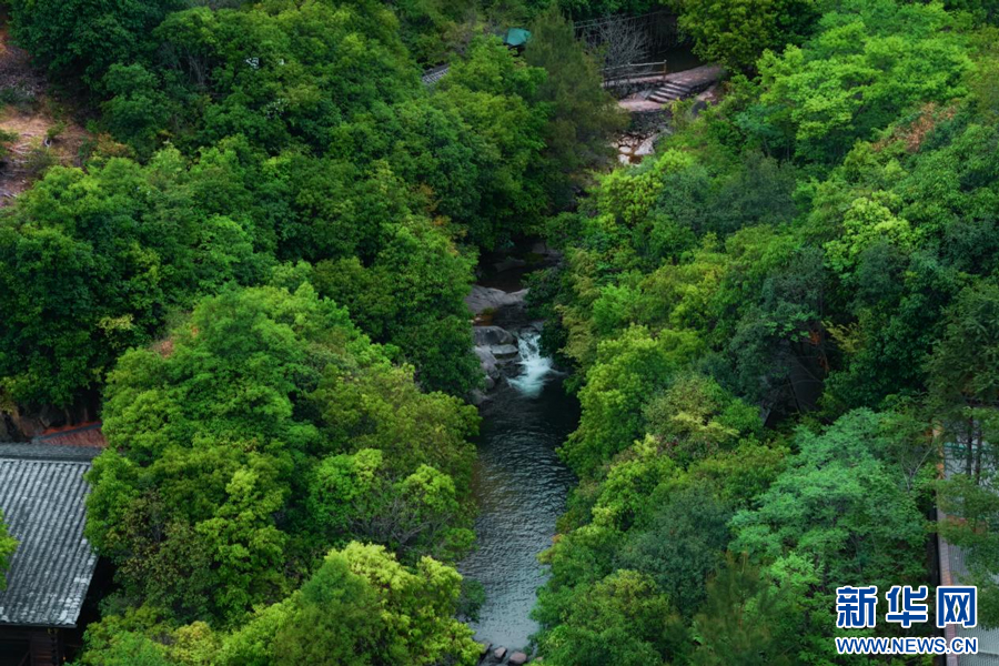 婺源石门峡景区。新华网发