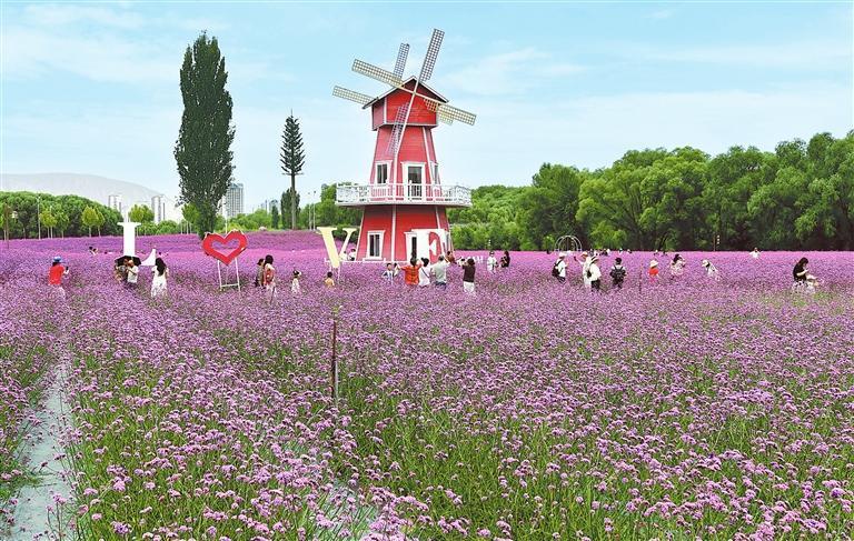 盛夏时节，游客在永靖县刘家峡镇黄河花堤上赏花。新甘肃&middot;甘肃日报通讯员　史有东