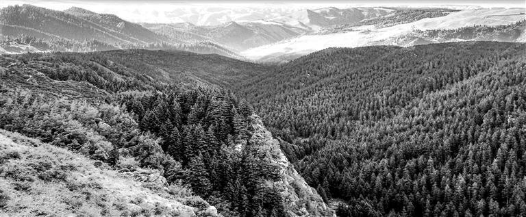 焉支山远景(本版图片均为资料图)