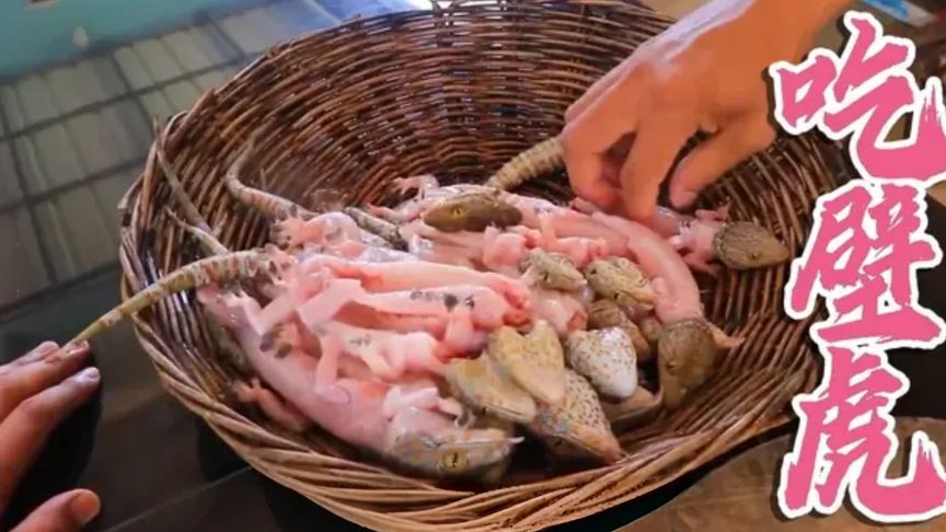 壁虎也能做大餐，越南不愧为暗黑美食大国
