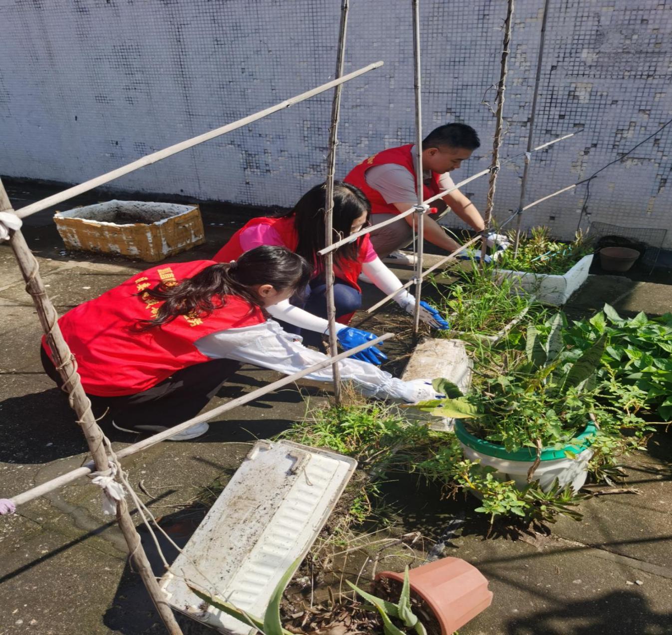 图3 区委统战部干部正在清理蚊虫孽生地