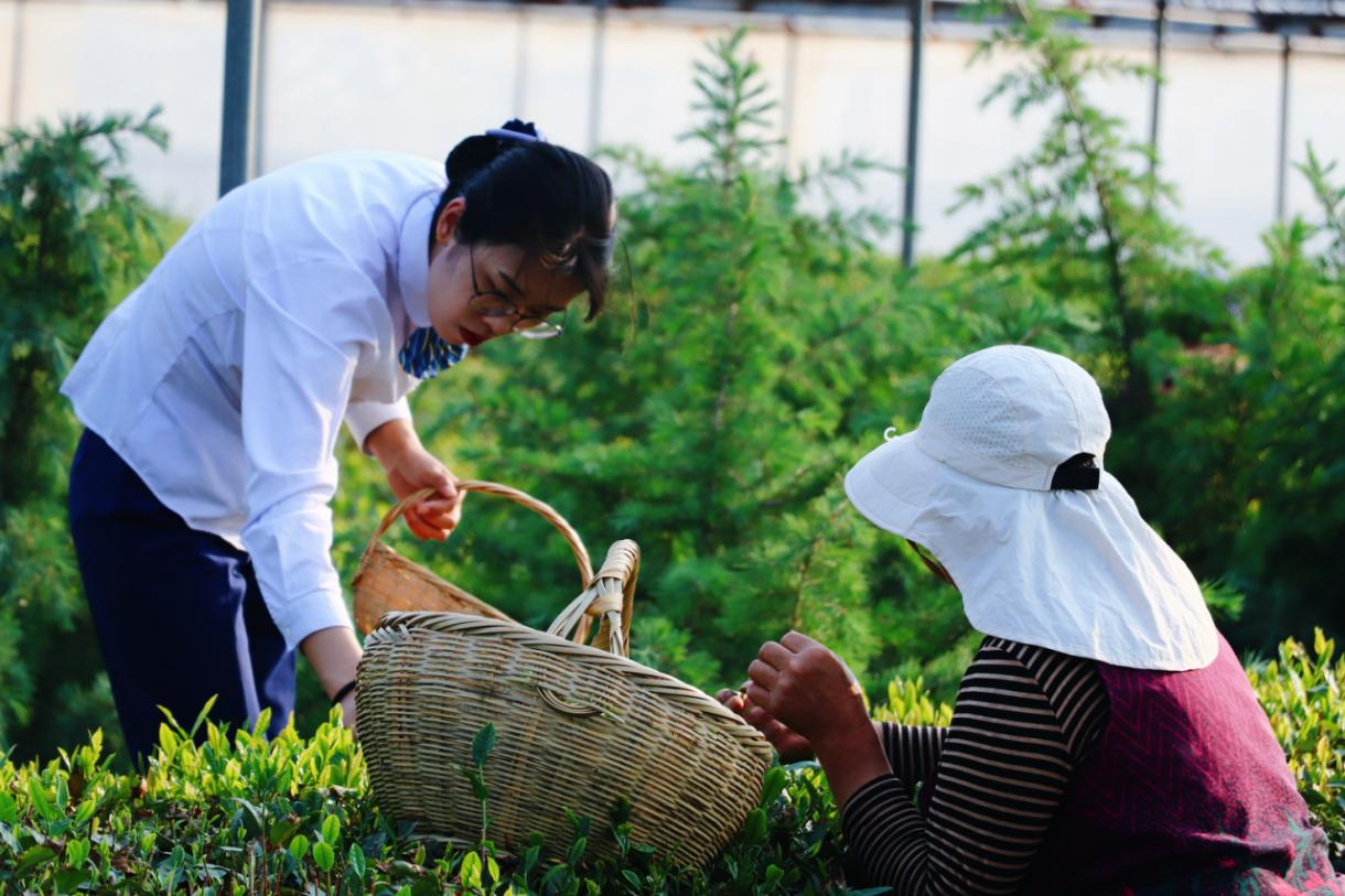青岛地铁:一条轨道绘就的乡村振兴幸福图景
