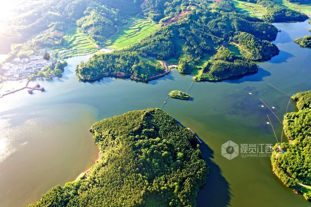 2025年7月24日，俯瞰江西省吉安市峡江县砚溪镇樟溪上景区，星罗棋布的岛屿与成片的绿色植被互相映衬，呈现一派湖光山色的生态画卷。