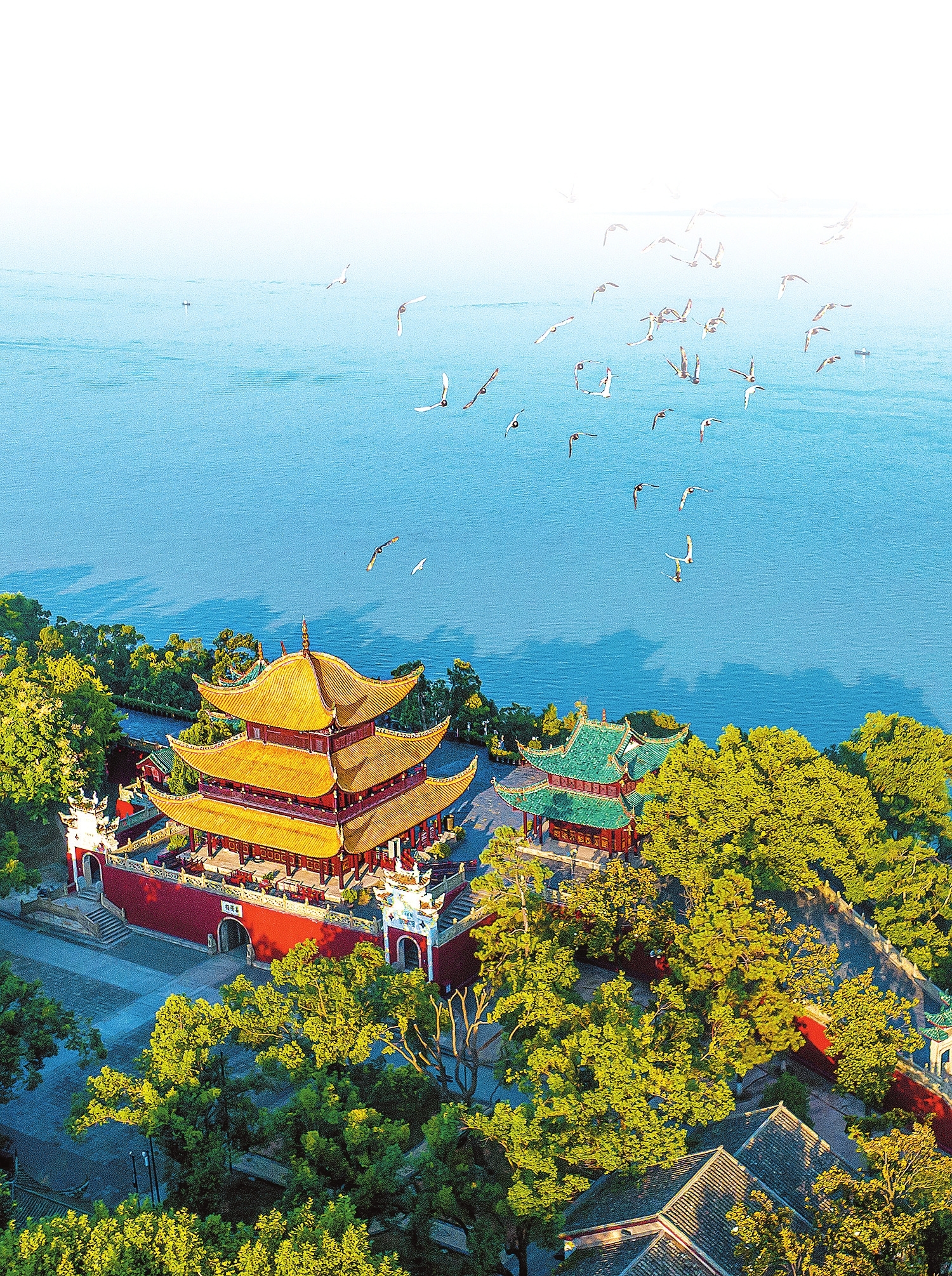 天下洞庭迎宾客。李敏摄