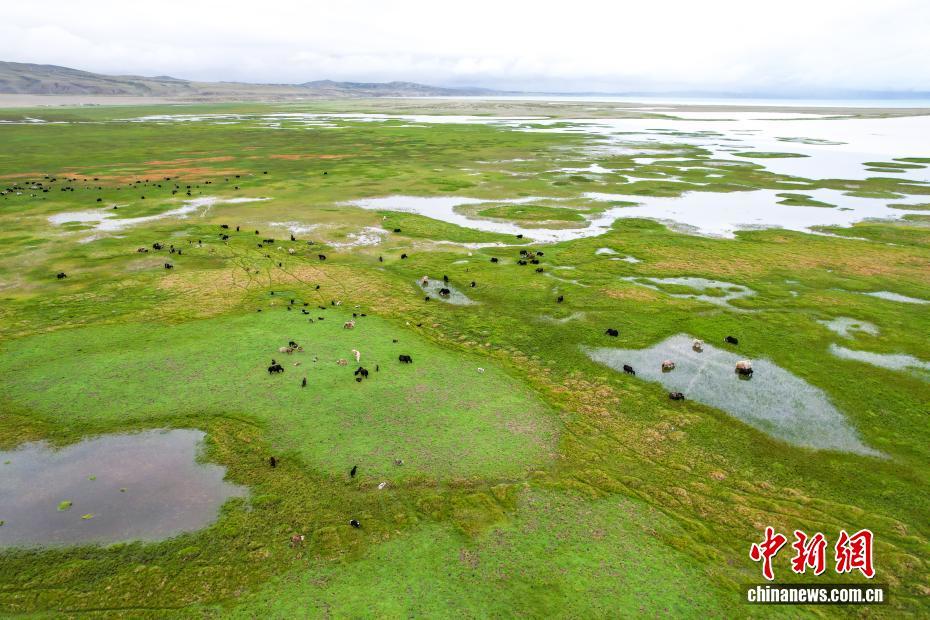 中新社记者 张祥毅 摄