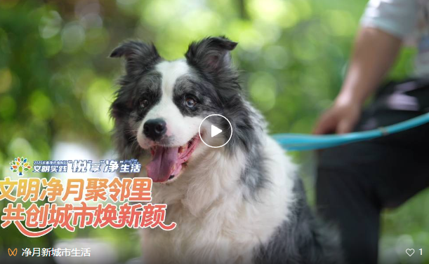 点击图片打开视频