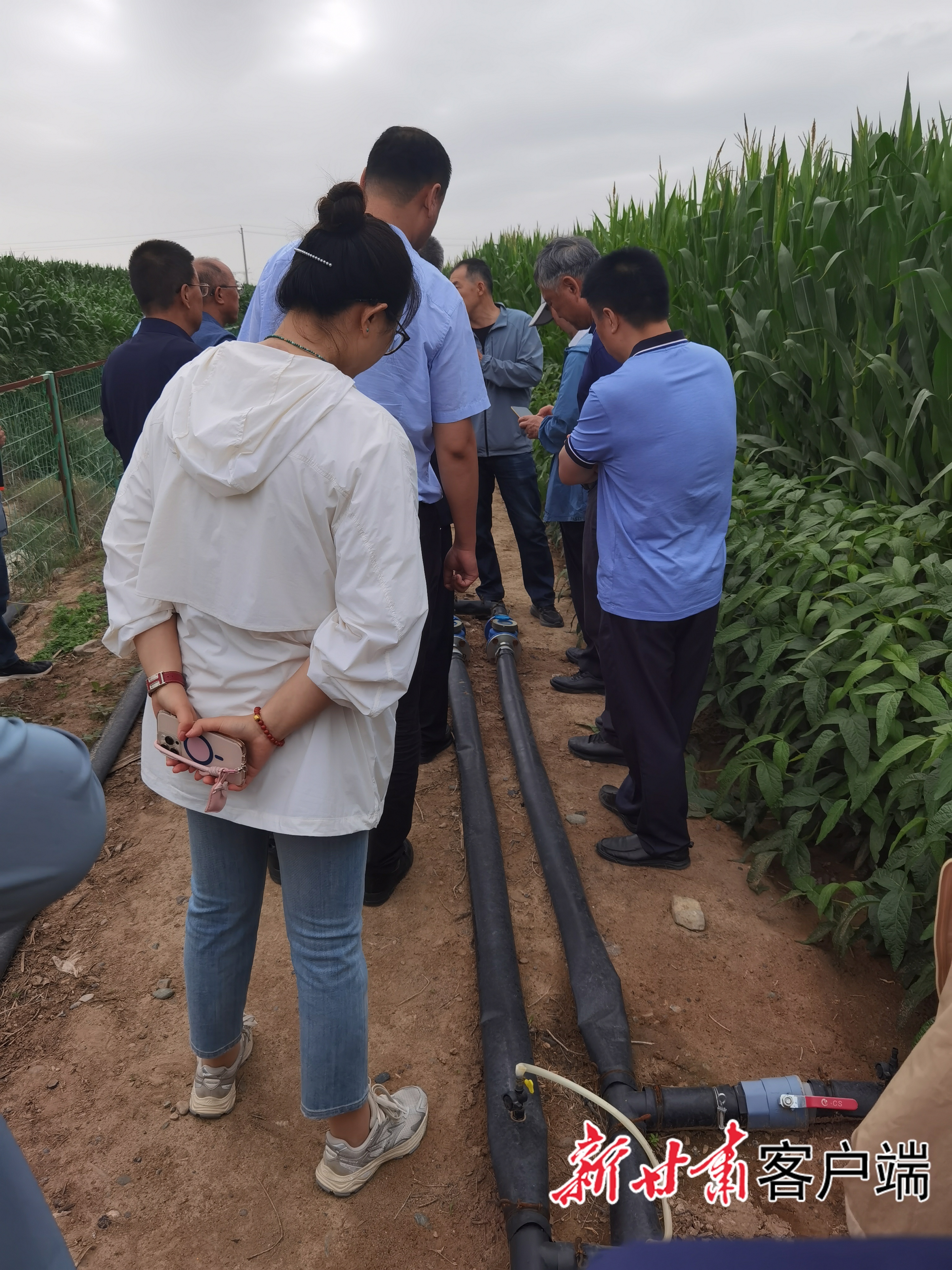 针对不同作物用水需求的滴灌分控技术措施