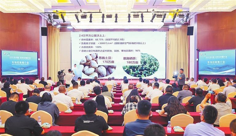 2025中国·定西马铃薯大会专场招商推介会现场　本组图片除署名外均为新甘肃·甘肃日报记者冯乐凯摄