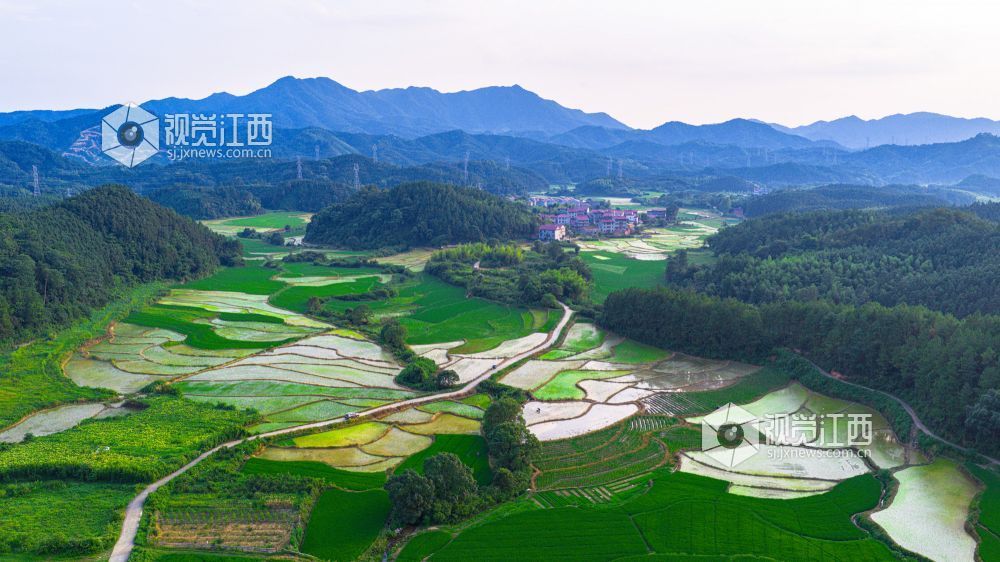 2025年7月15日在江西省吉安市峡江县覆箱峰拍摄的画面。