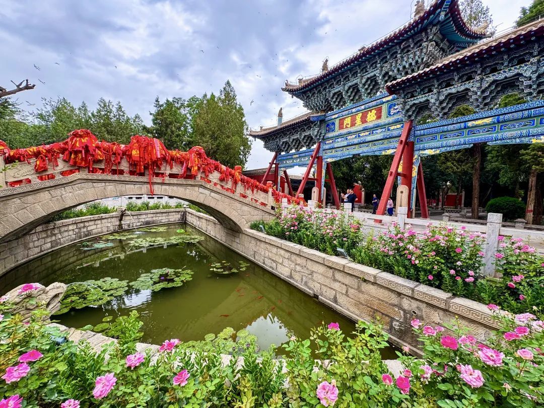 文庙猫影：一个不识字的史官　视功名如云烟