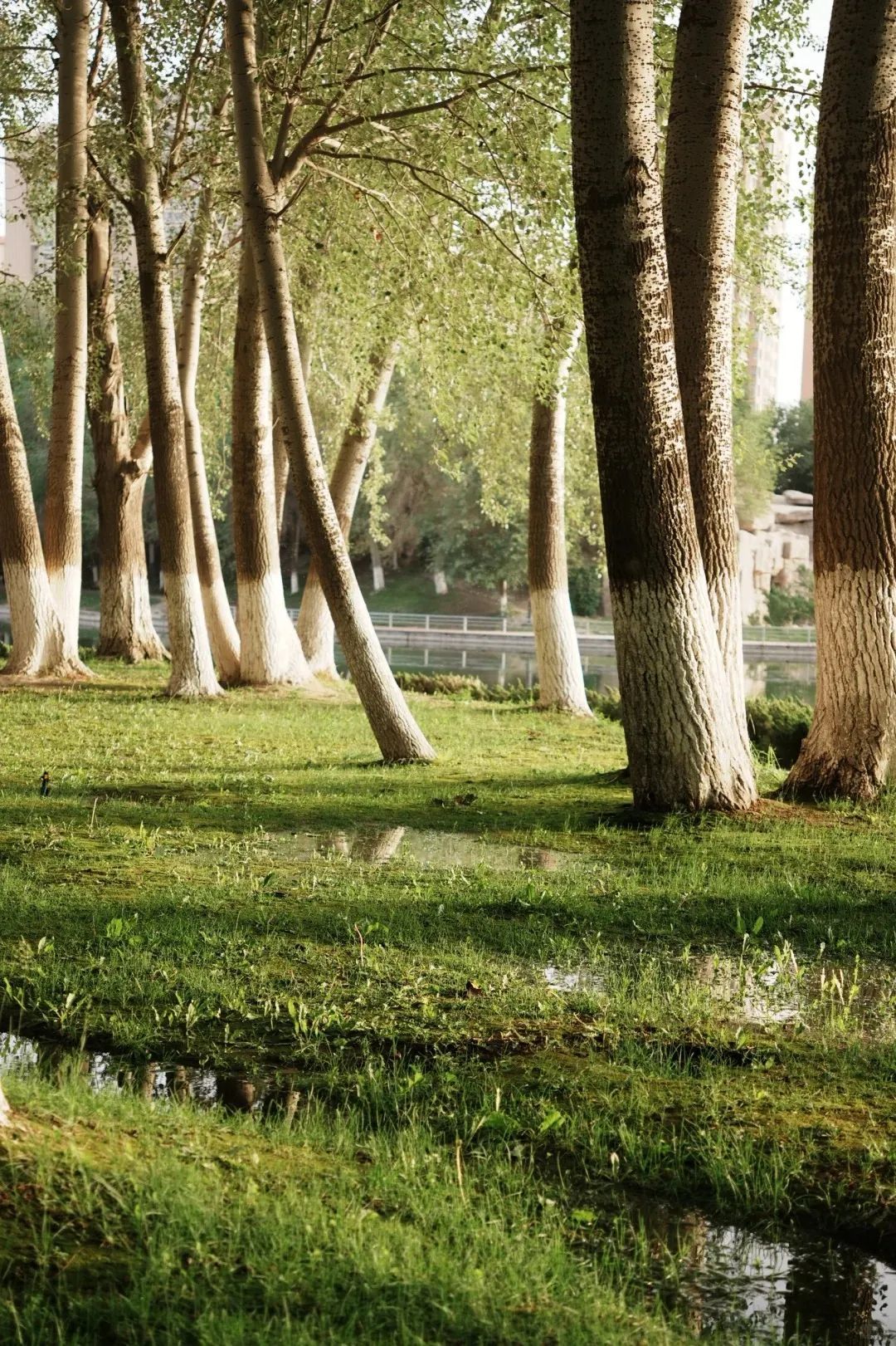 那个嘴毒的新疆女人,来自美丽的阿克苏