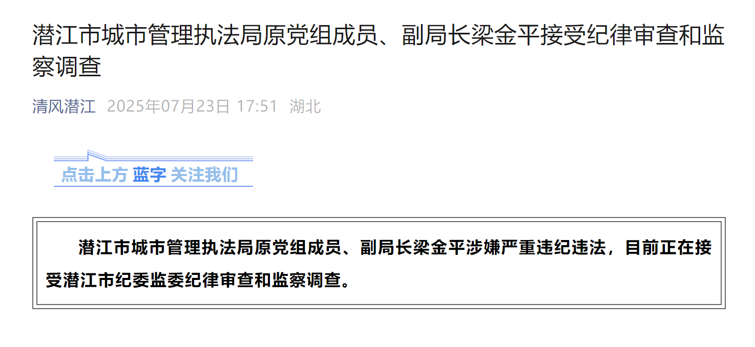 湖北兩人同日被查