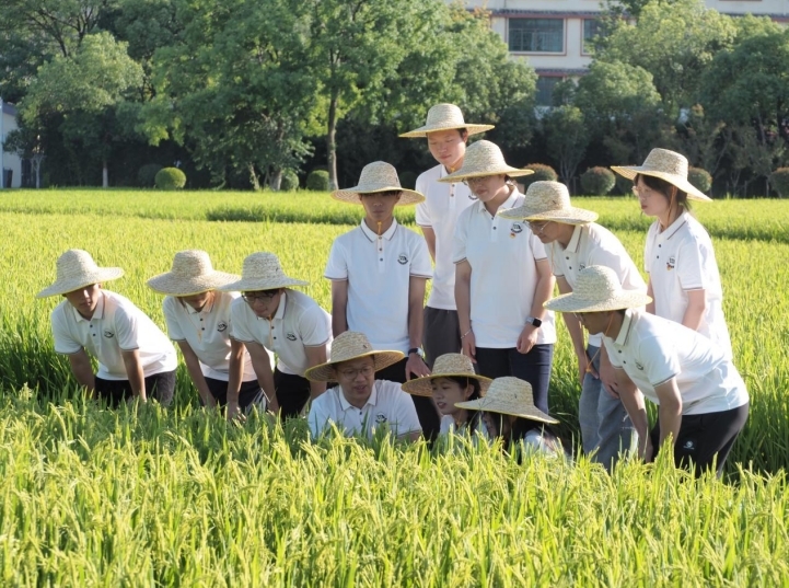实践队进行产业调研。