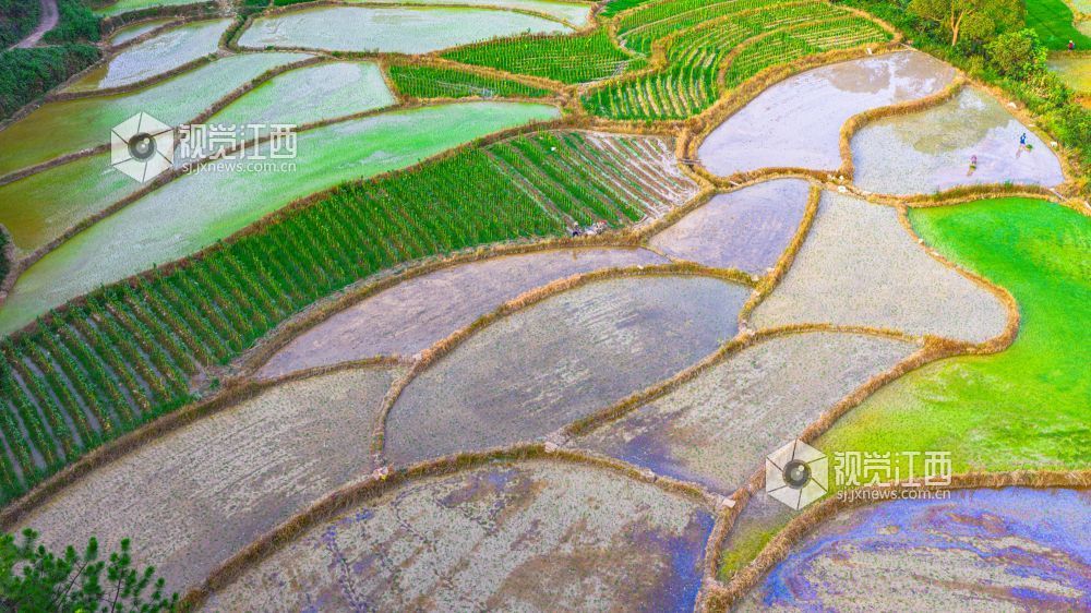 2025年7月15日在江西省吉安市峡江县覆箱峰拍摄的画面。