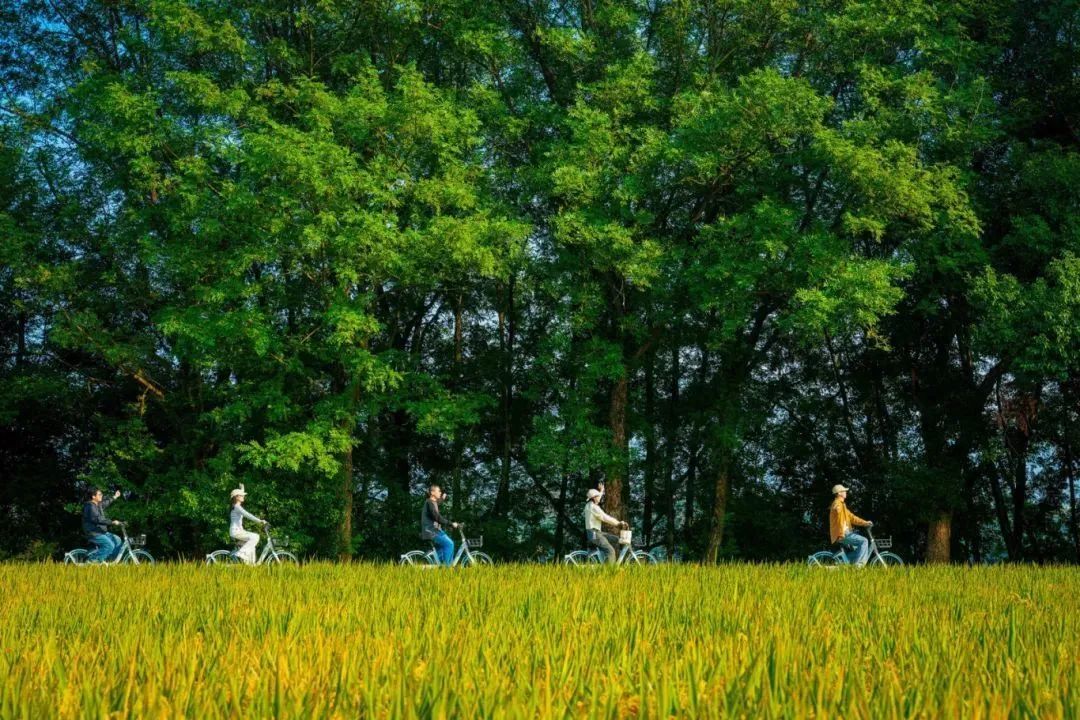 “浙BA”战火燃这份桐庐“文旅快递”前来助阵(图5)