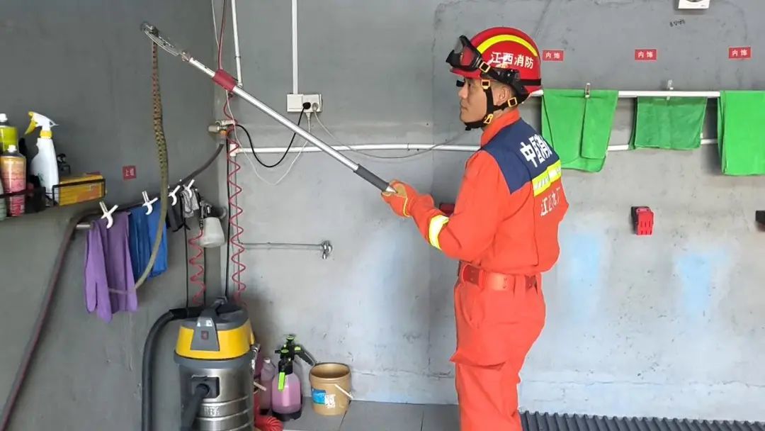 躲在客厅的mini蛇