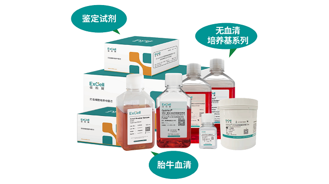 三大产品线图片.png
