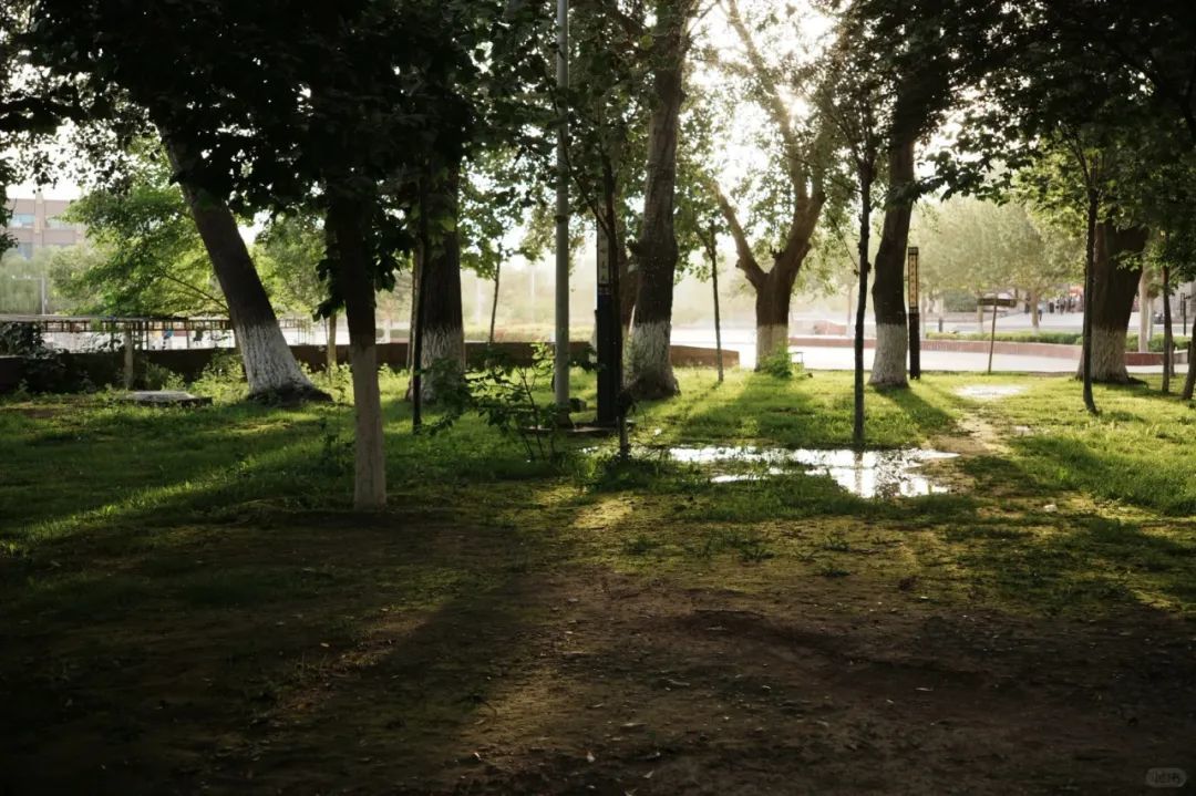 那个嘴毒的新疆女人,来自美丽的阿克苏