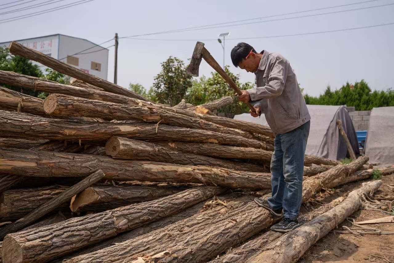 青岛乡里乡亲｜匠心守艺三十五载：木船传人王暖叶的“匠心船说”