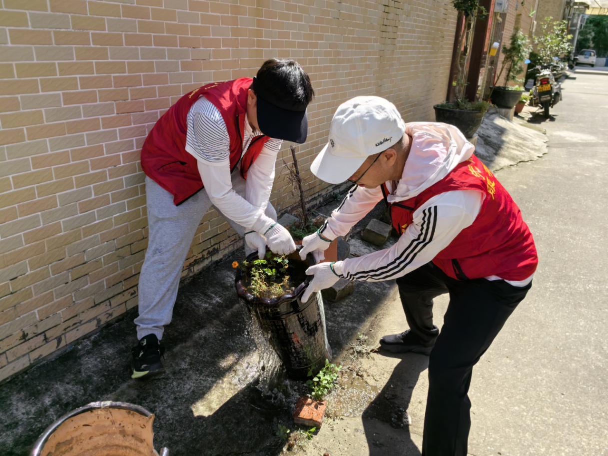 图4 区委社会工作部正在逐巷检查,及时清理雨后花盆积水