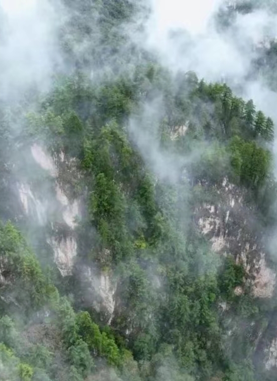 甘肃夏日消暑图鉴拿捏美食美景　谁懂这一口的含金量