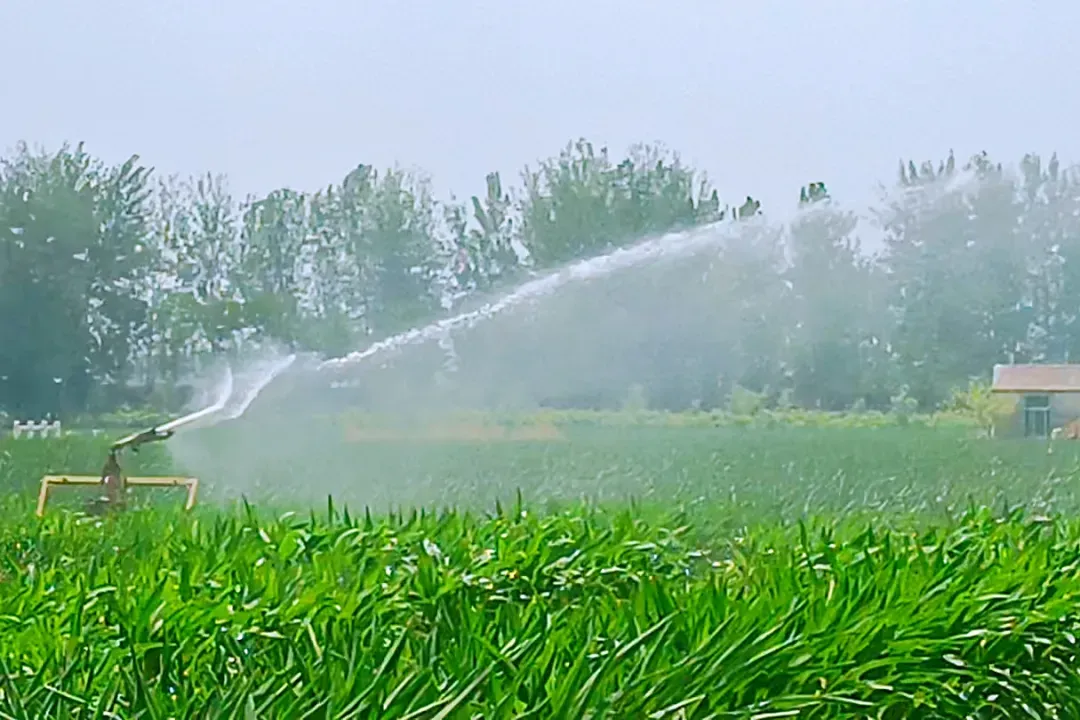 徐州沛县启动抗旱IV级响应！