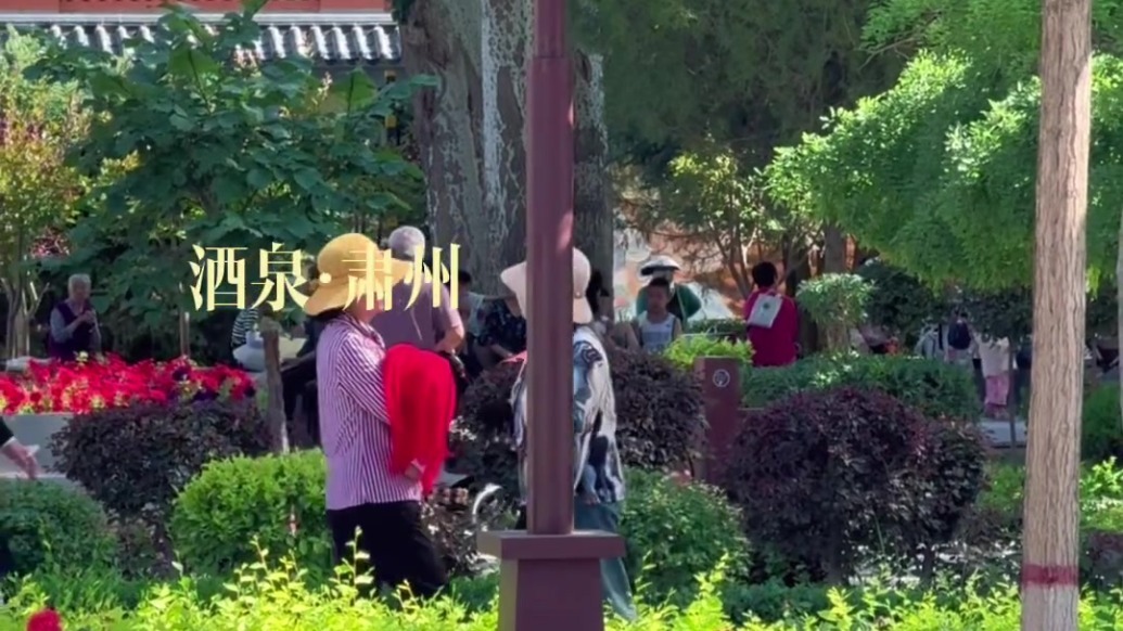 肃州版“小城故事”火热上映　快来安逸一“夏”