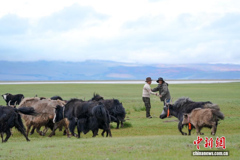 中新社记者 张祥毅 摄