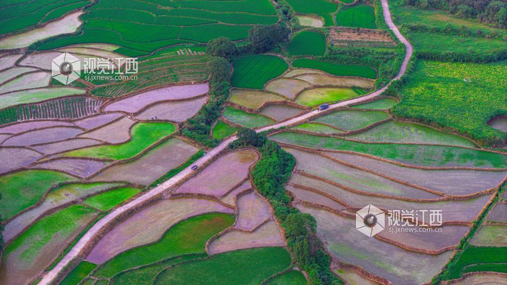 2025年7月15日在江西省吉安市峡江县覆箱峰拍摄的画面。