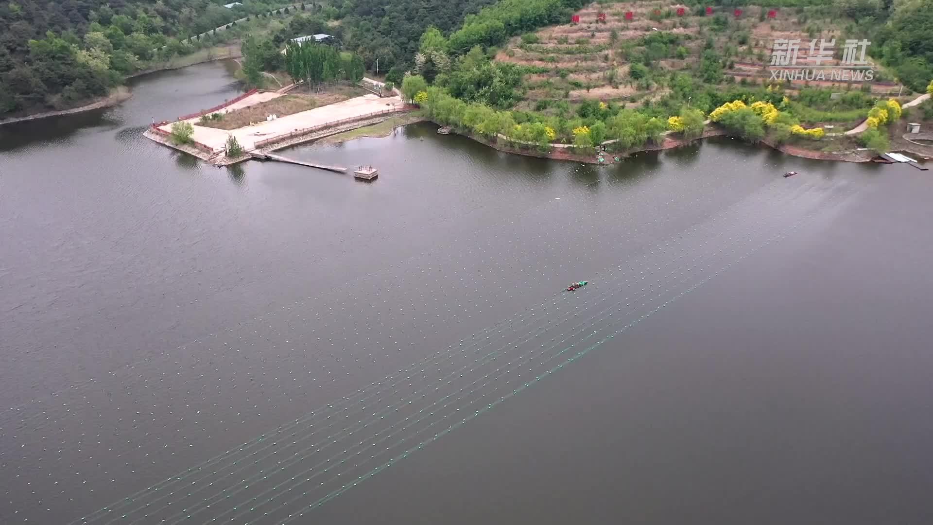 千城胜景｜河北秦皇岛：珠蚌牵起振兴路
