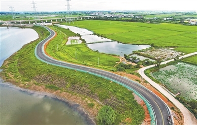環鄱陽湖堤頂公路
