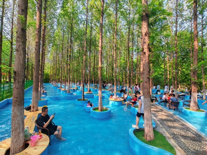 体感温度较市区低5—6℃!济南这里添了个“杉林水乐园”