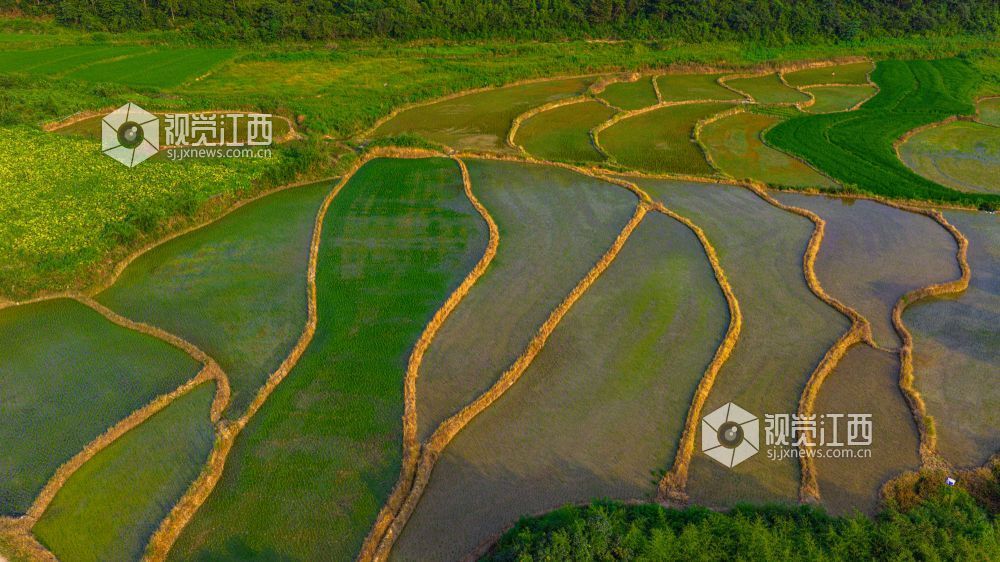 2025年7月15日在江西省吉安市峡江县覆箱峰拍摄的画面。