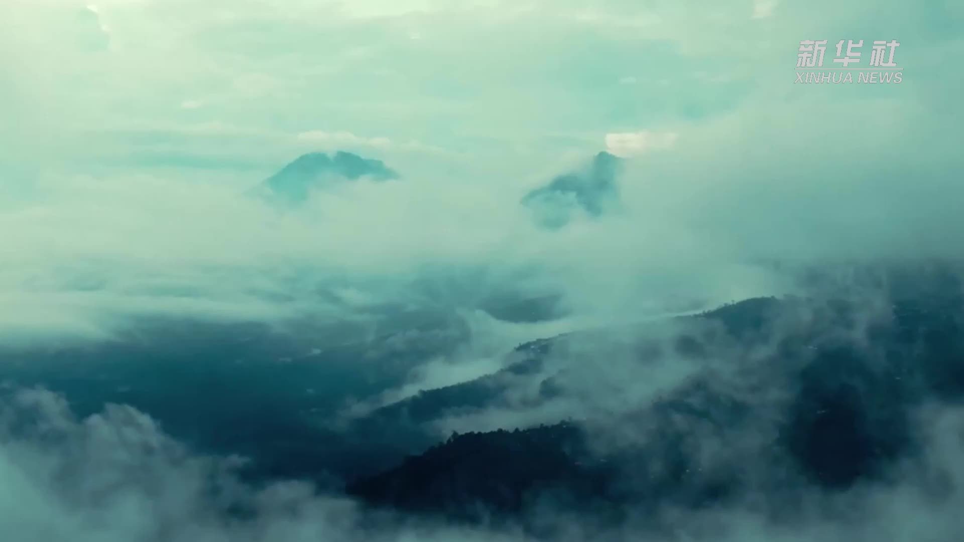 科技破壁 产业兴旺——三亚育才生态区榴莲产业发展一线见闻