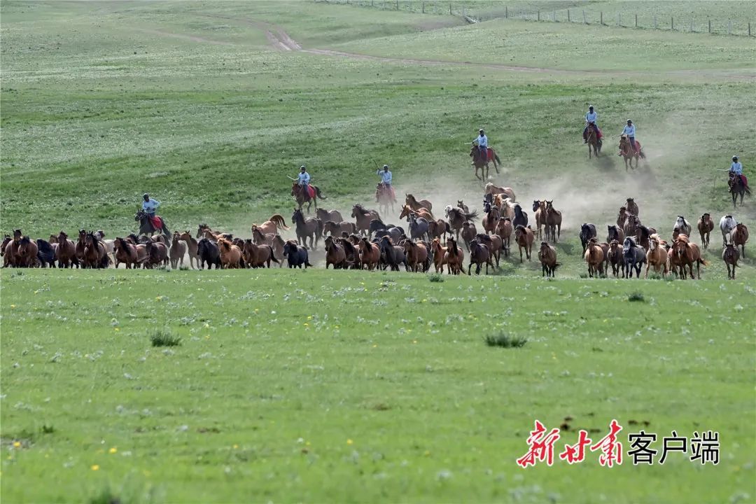 新甘肃&middot;甘肃日报记者　丁凯　摄