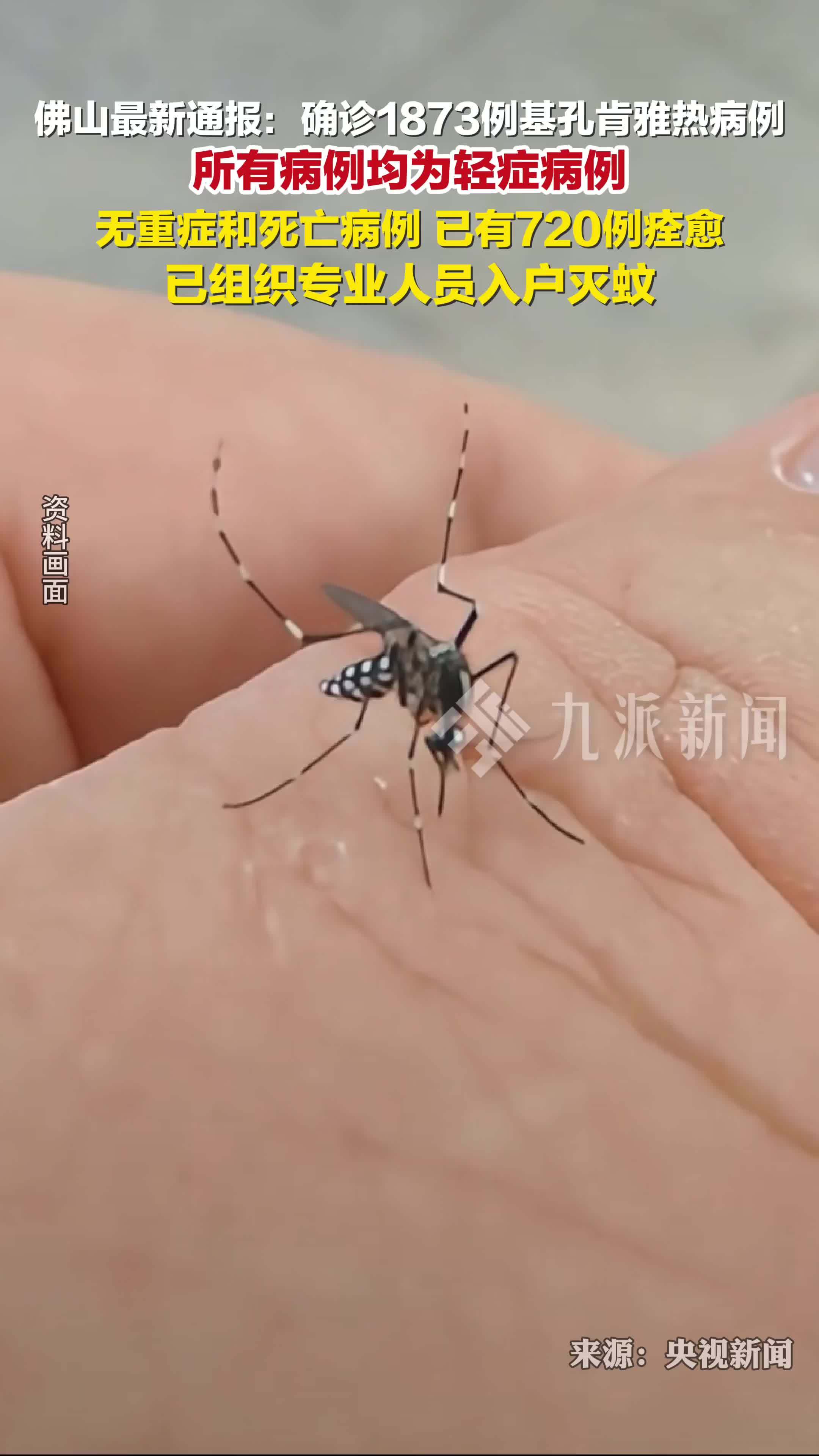 佛山通报确诊1873例基孔肯雅热病例