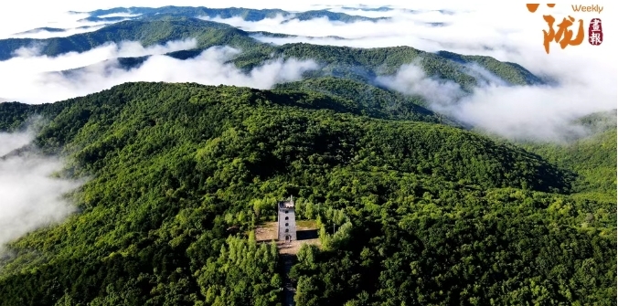 甘肃夏日消暑图鉴拿捏美食美景　谁懂这一口的含金量