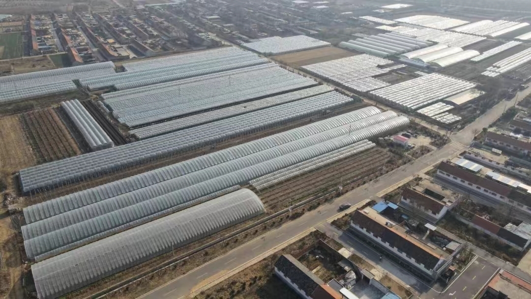 青岛乡里乡亲|日庄镇沟东新村:文明乡风激活乡村振兴“一池春水”