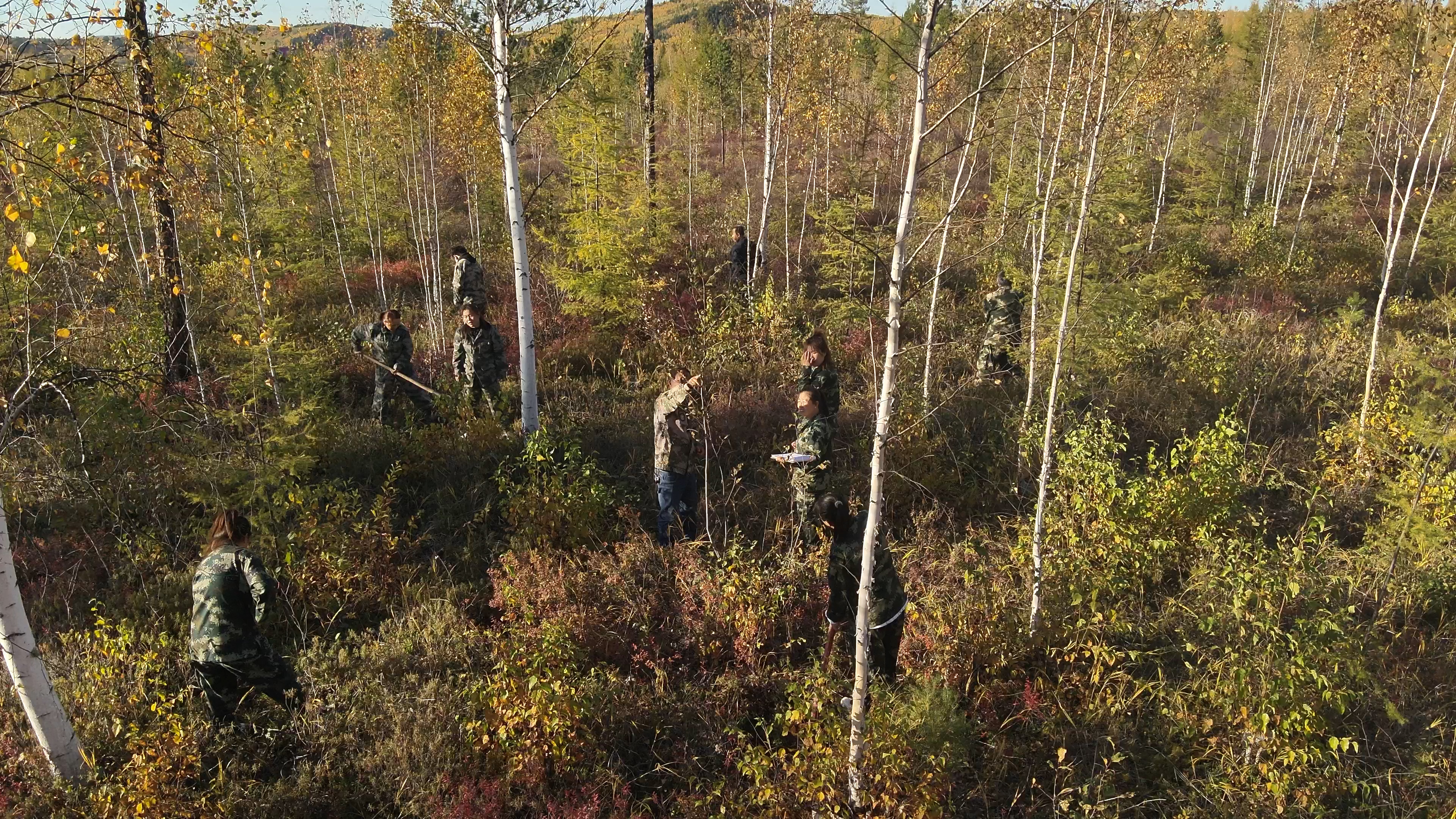 DJI_20240914161913_0004_V.MP4.00_00_08_00.Still001.jpg