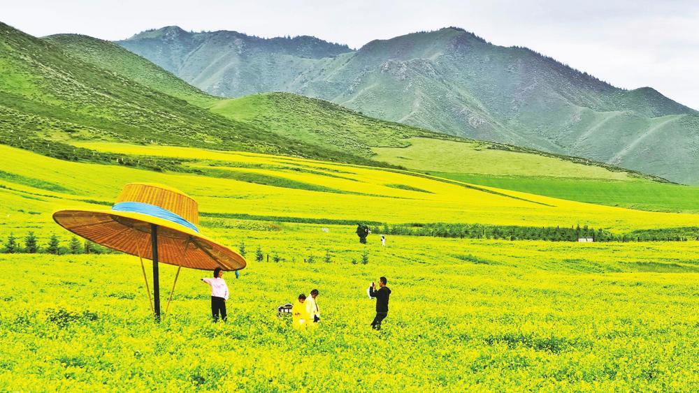盛夏时节，位于祁连山下的张掖市民乐县扁都口休闲旅游景区迎来了旅游高峰期，各地游客畅游金色花海，享受独具特色的高原美景。新甘肃&middot;甘肃经济日报通讯员　王晓泾　苏久永　摄