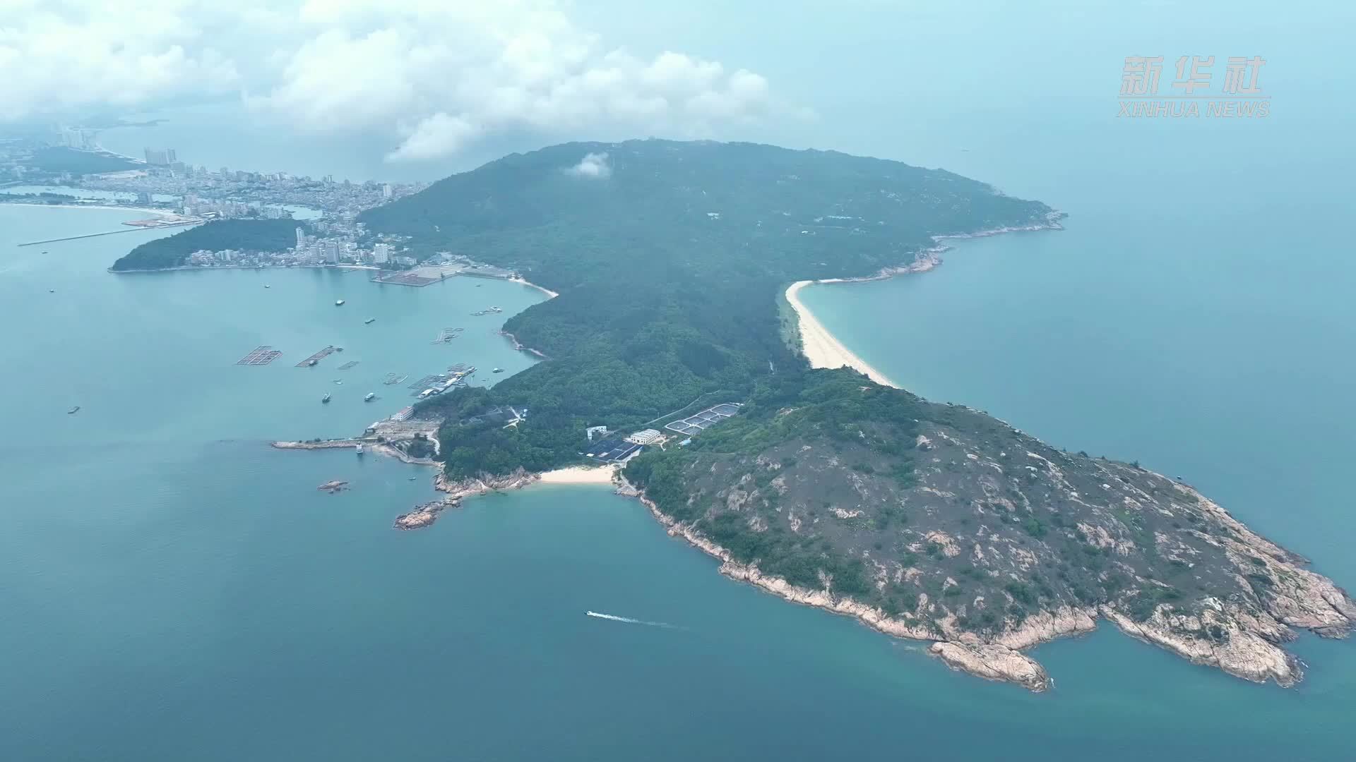 广东惠东：累计保护野生海龟上岸产卵745窝