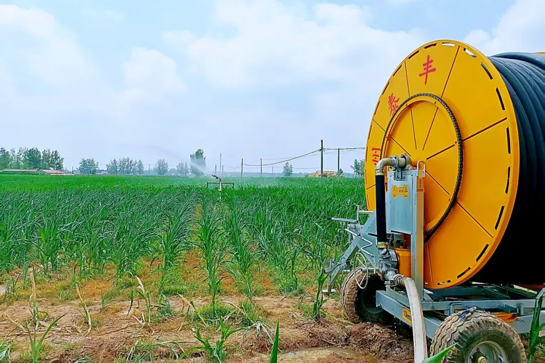 徐州沛县启动抗旱IV级响应！
